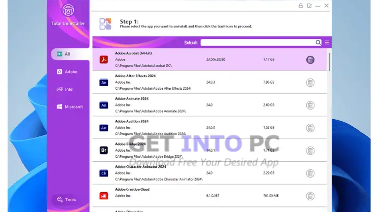 Total Uninstall Professional Portable